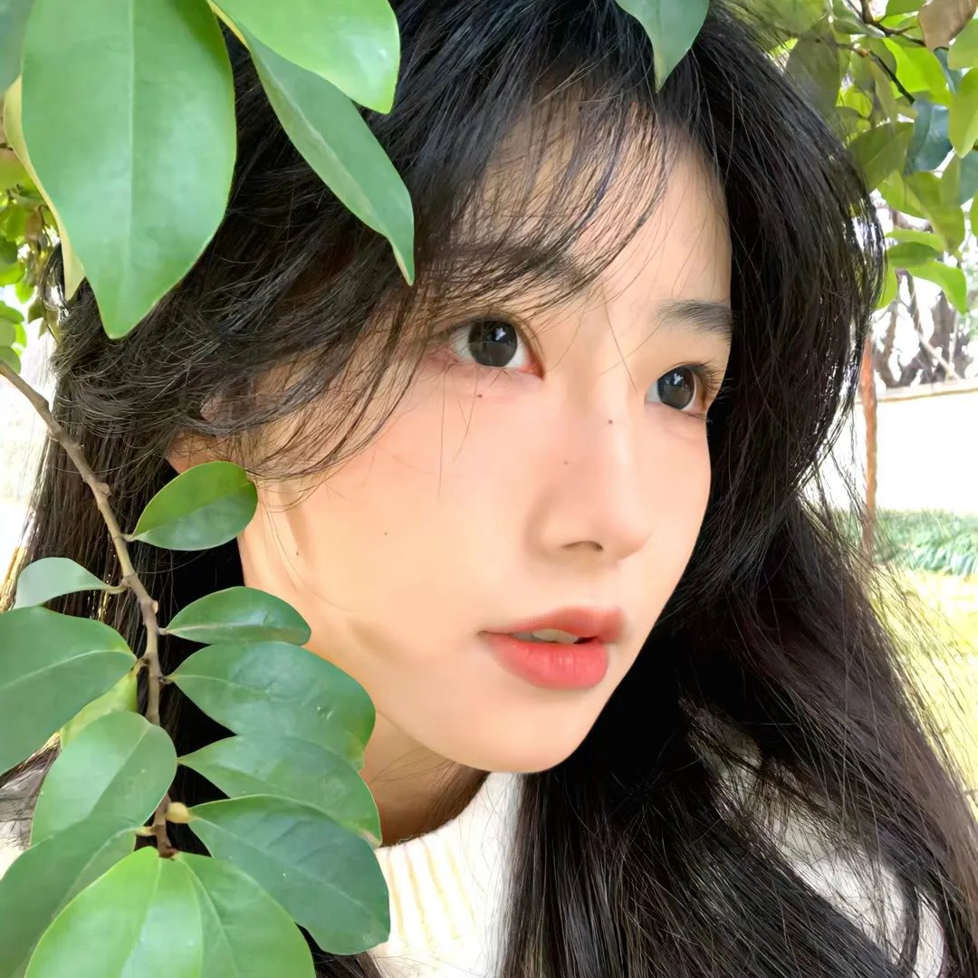 梅花