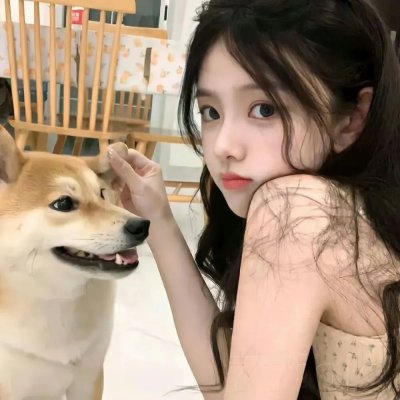 夏来冬往